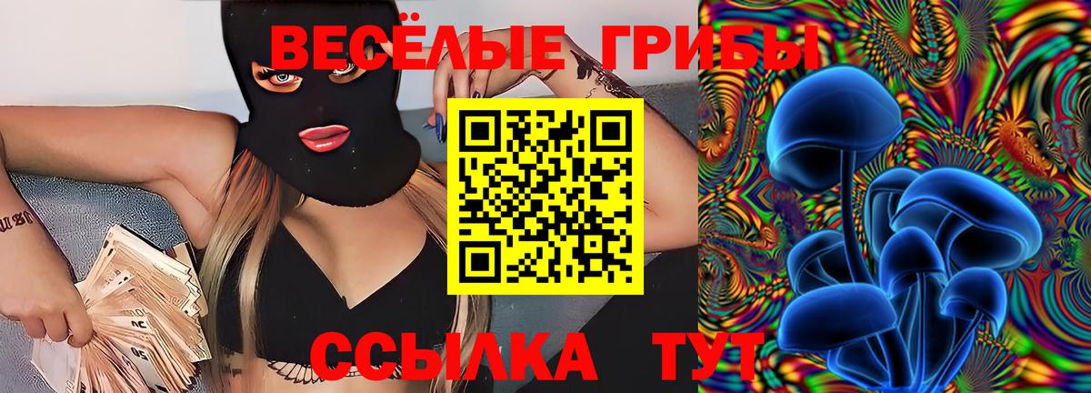 Псилоцибиновые грибы мицелий  Галлюциногенные грибы Psilocybine cubensis  Гуково  Вход с VPN 
